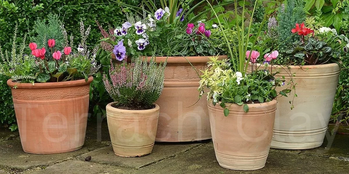 Exporter of Terracotta Pots, Planters & Jars - Terrachi Clay